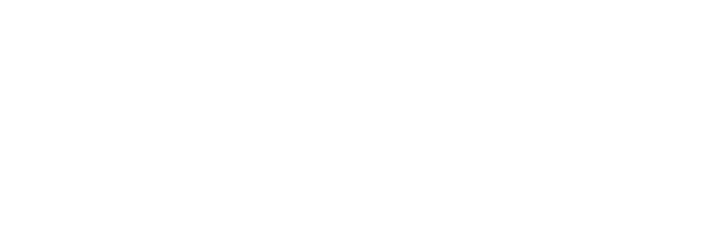 MEIDOK Logo